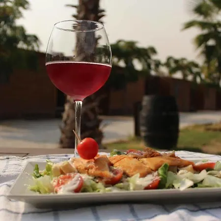 Campingplatz Park Albufera 2*