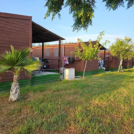 Park Albufera
