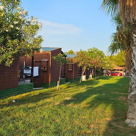 Campsite Park Albufera