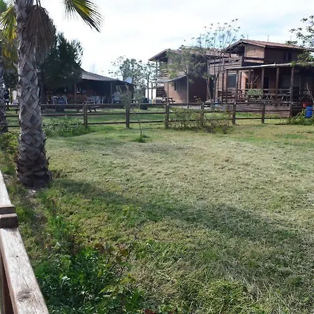 Park Albufera
